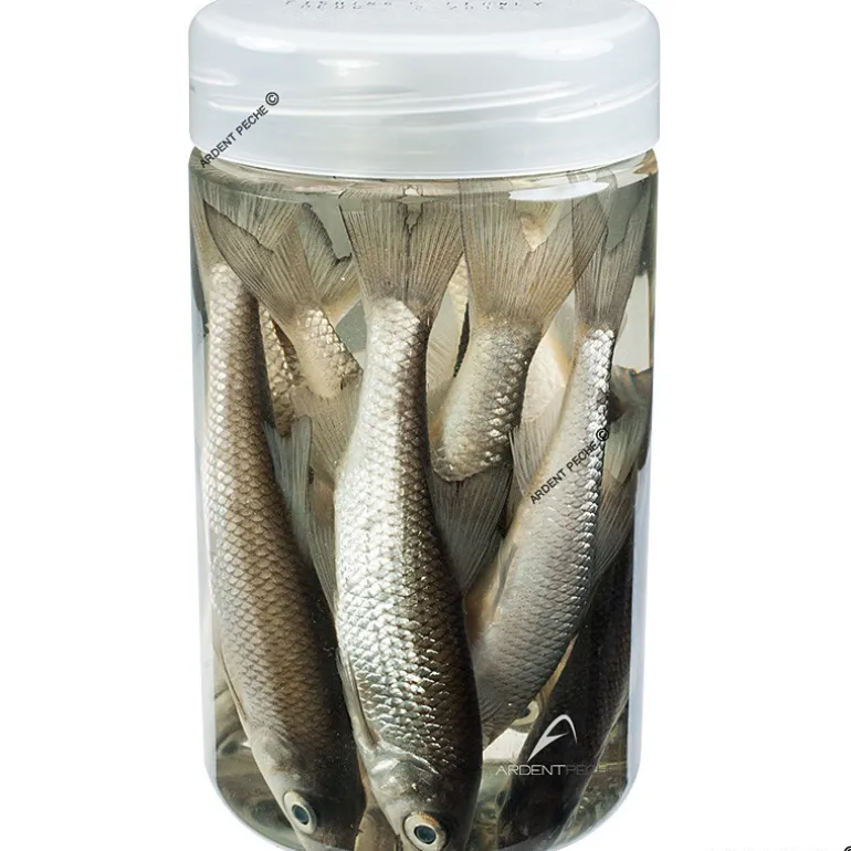 ARMORVIF Pot de 10 Gardons