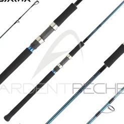 Canne DAIWA Grandwave offshore