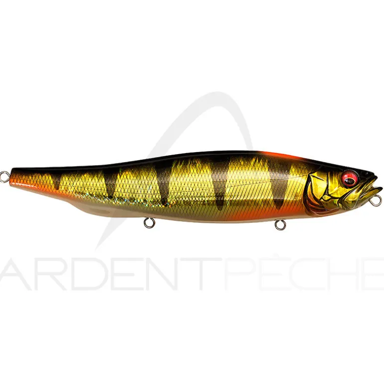 Leurre de surface MEGABASS Megadog X