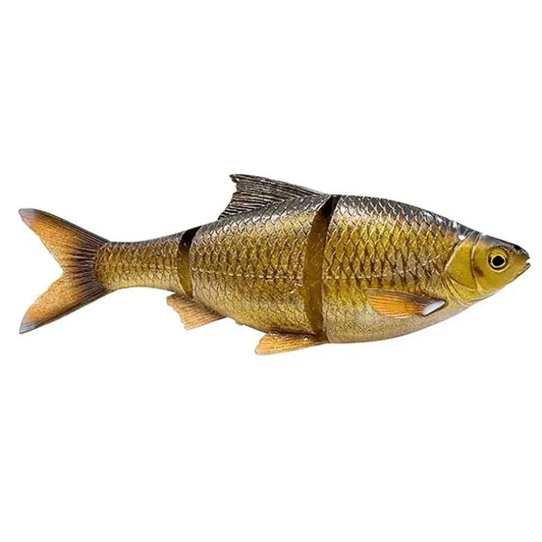 Leurre souple SAVAGE GEAR 3D LT Roach 25cm sinking