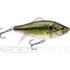 Poisson nageur BIWAA Raffal 100