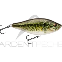 Poisson nageur BIWAA Raffal 130