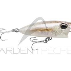 Poisson nageur DUO Pocopoco 40 F