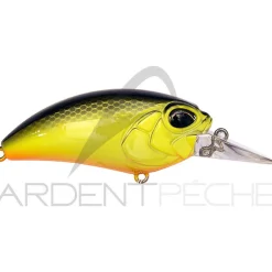 Poisson nageur DUO Realis crank M62 5A