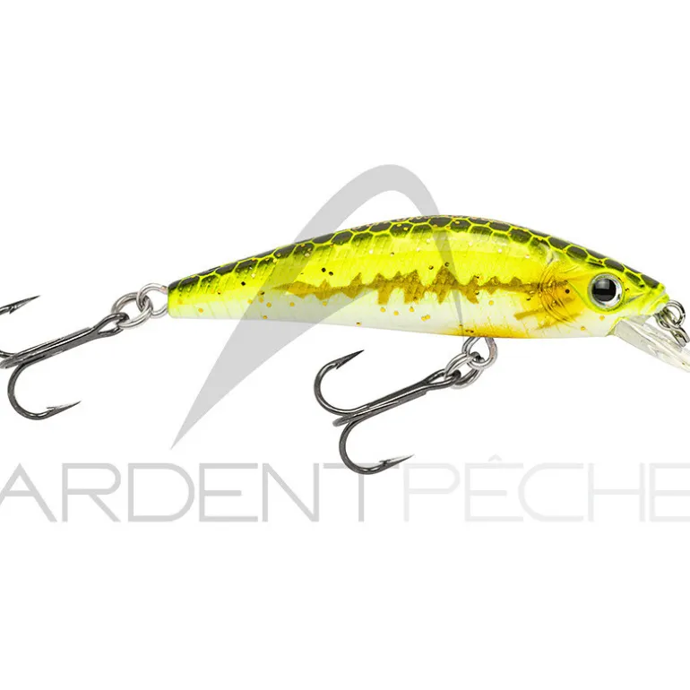 Poisson nageur GUNKI Gamera 50 HW