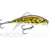 Poisson nageur ILLEX Flat tricoroll 45 S