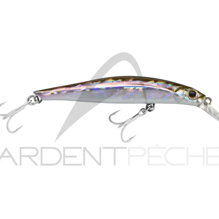 Poisson nageur JACKSON Artist 95 HW