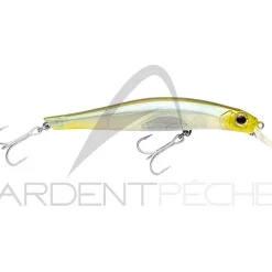 Poisson nageur JACKSON Artist FR105