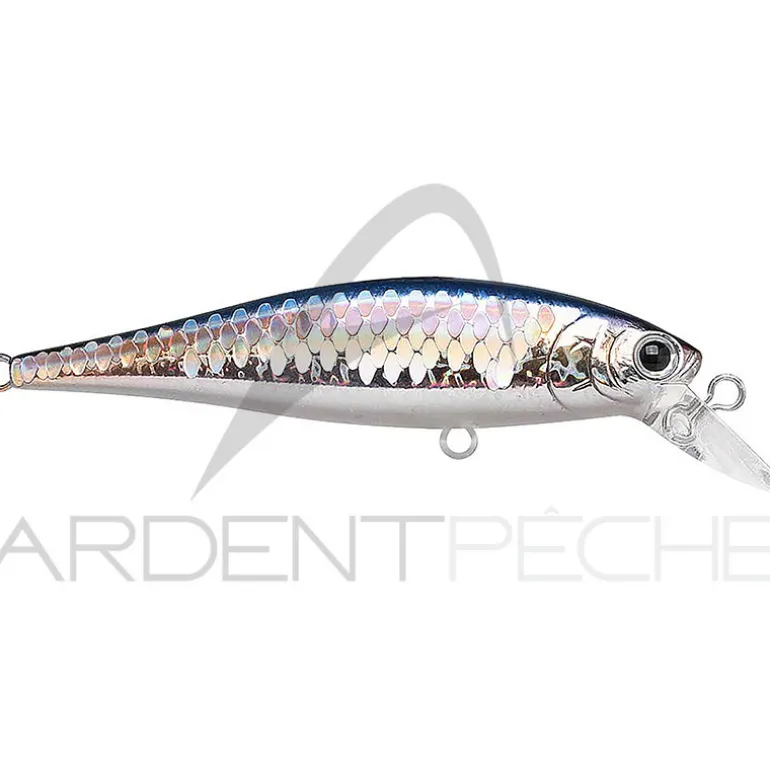 Poisson nageur LUCKY CRAFT B Freeze Pointer 65 SP