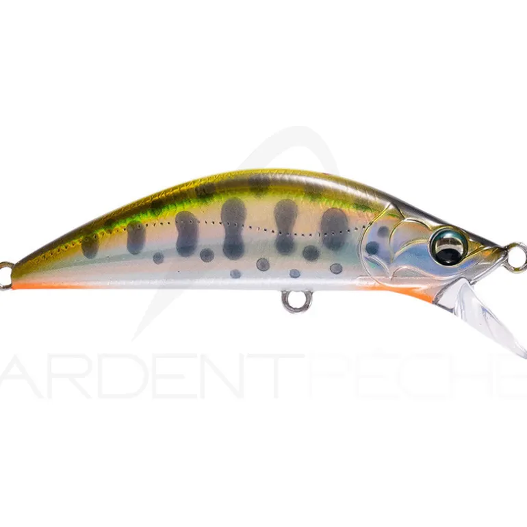 Poisson nageur MAJOR CRAFT Eden 50 H