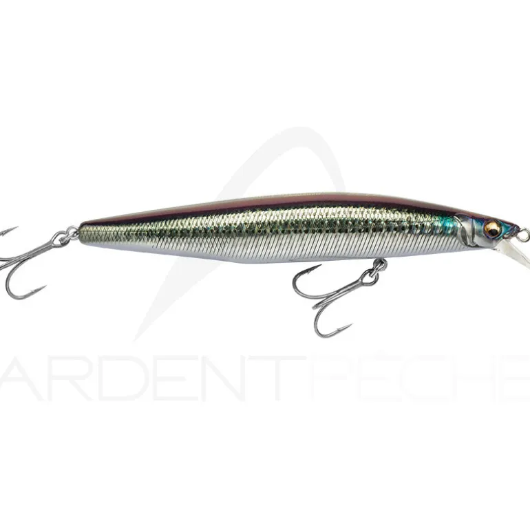 Poisson nageur MEGABASS Marine gang cookai 120 F