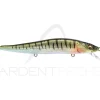 Poisson nageur MEGABASS Vision 110 FW
