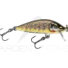 Poisson nageur RAPALA Countdown elite 35