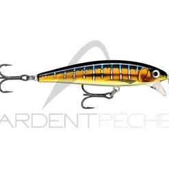 Poisson nageur RAPALA X Rap magnum cast