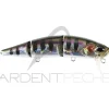 Poisson nageur Rozante perj 95 F