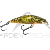 Poisson nageur SALMO Bullhead 6 F