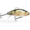Poisson nageur SALMO Fatso 10 F