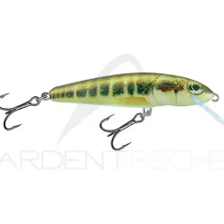 Poisson nageur SALMO Minnow 5 F
