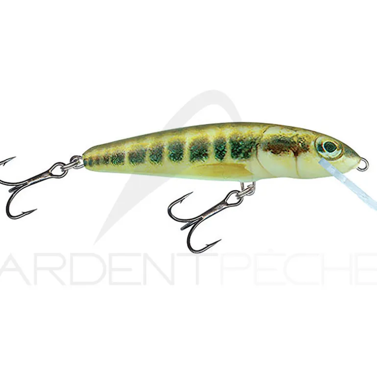 Poisson nageur SALMO Minnow 5 F