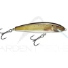 Poisson nageur SALMO Minnow 6 F