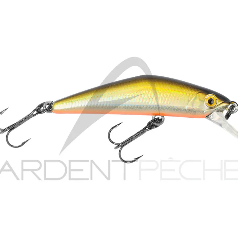 Poisson nageur SMITH D Compact 45