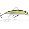 Poisson nageur SMITH D Coax 65