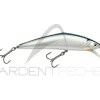 Poisson nageur SMITH D Contact 110