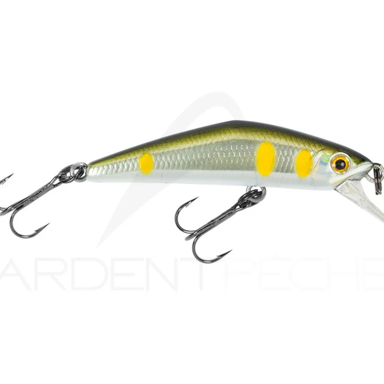 Poisson nageur SMITH D Compact 38