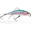Poisson nageur SMITH D Contact 63