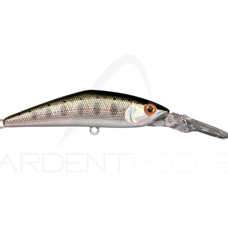 Poisson nageur SMITH D Direct 55