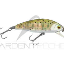 Poisson nageur SMITH D Incite 44 awabi
