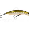 Poisson nageur SMITH F Select 64