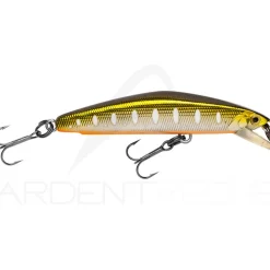 Poisson nageur SMITH F Select 64
