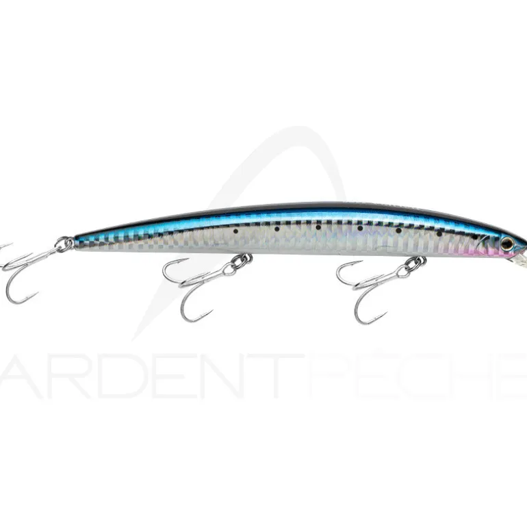 Poisson nageur SMITH Haluca 145 F