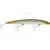 Poisson nageur SMITH Haluca 165 S