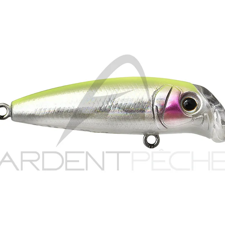 Poisson nageur TACKLE HOUSE Buffet LM 42