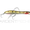 Poisson nageur XORUS Patchinko 85