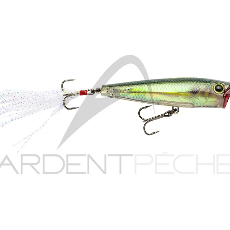 Poisson nageur YO ZURI 3DR Popper 65