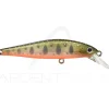Poisson nageur ZIP BAITS Rigge flat 70 S