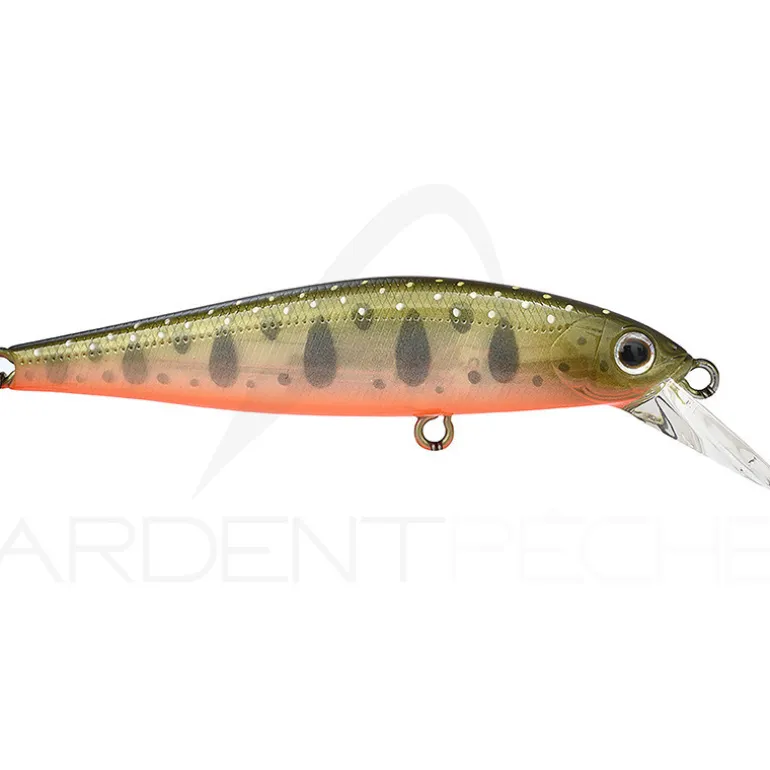 Poisson nageur ZIP BAITS Rigge flat 70 S